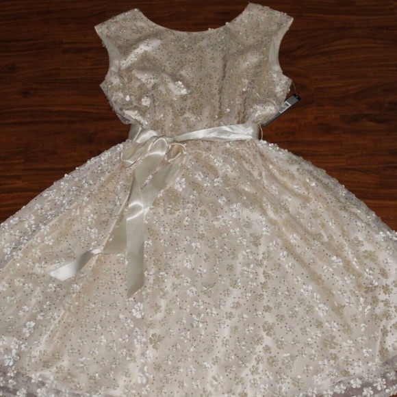 NWT Tahari Arthur S. Levine Floral Applique Gown Wedding Prom Bridesmaid Sz 14 - Picture 1 of 12